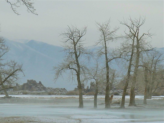 Product picture Winter in Mongolia
