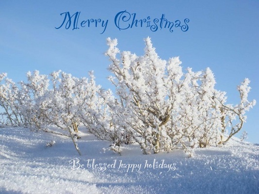 Product picture Christmas Greetings Photo for Greeting Card No.2
